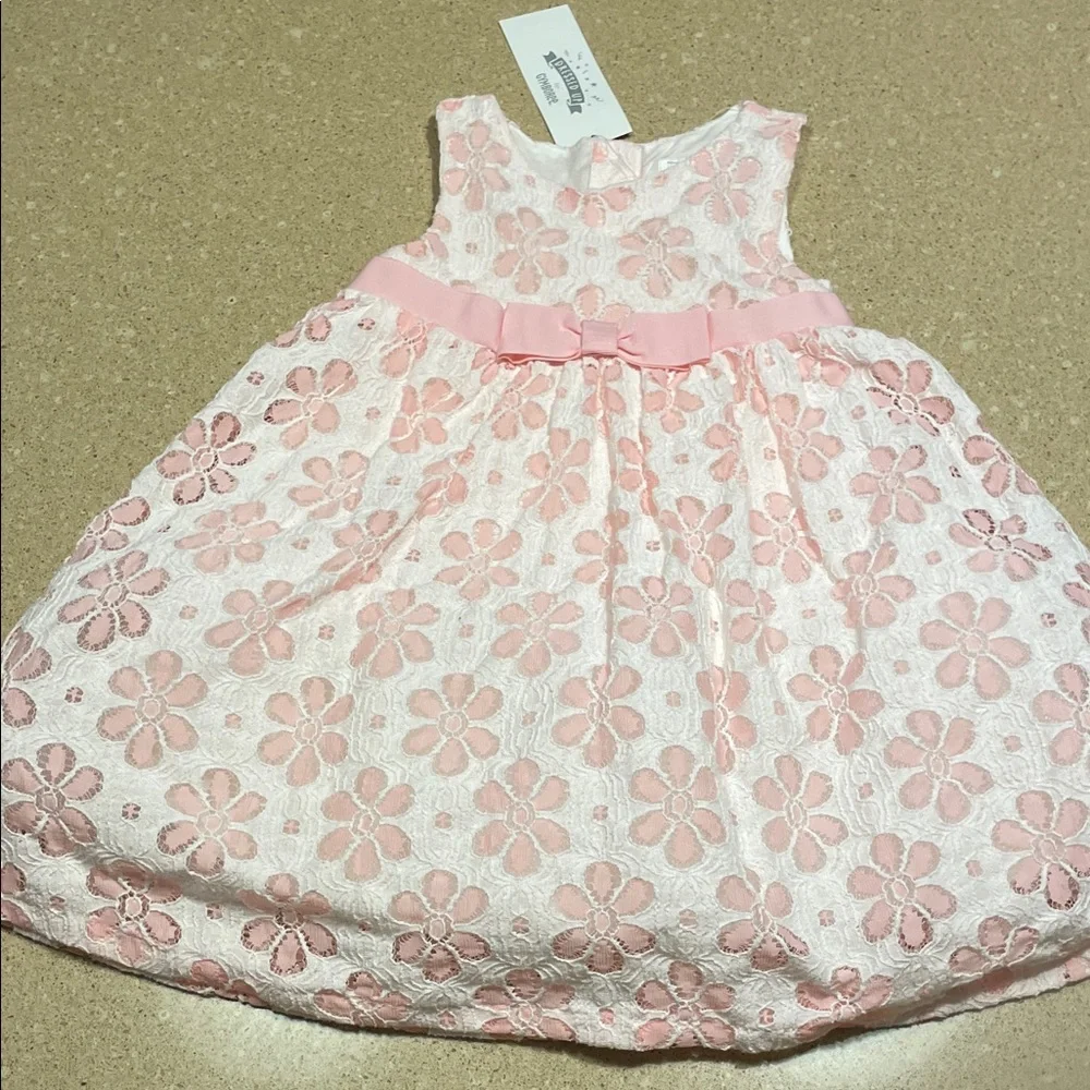 Gymboree Pink and White Floral Lace Dress